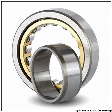 25,000 mm x 52,000 mm x 15,000 mm SNR NJ205EG15 cylindrical roller bearings