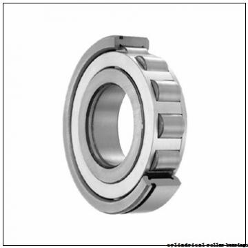 100 mm x 250 mm x 58 mm  KOYO NU420 cylindrical roller bearings