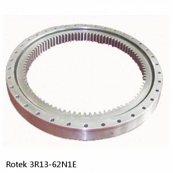 3R13-62N1E Rotek Slewing Ring Bearings