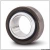 120 mm x 180 mm x 85 mm  INA GE 120 DO-2RS plain bearings #1 small image