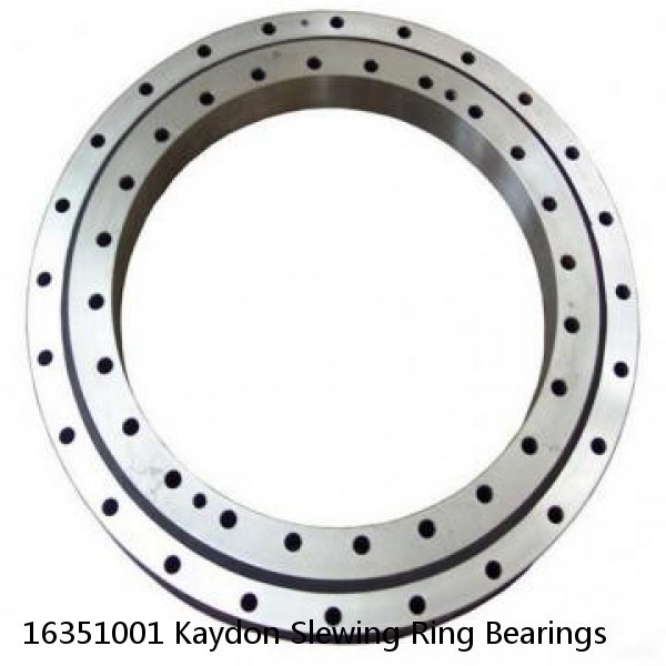 16351001 Kaydon Slewing Ring Bearings #1 small image