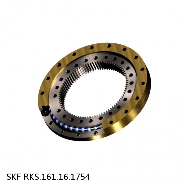 RKS.161.16.1754 SKF Slewing Ring Bearings #1 small image