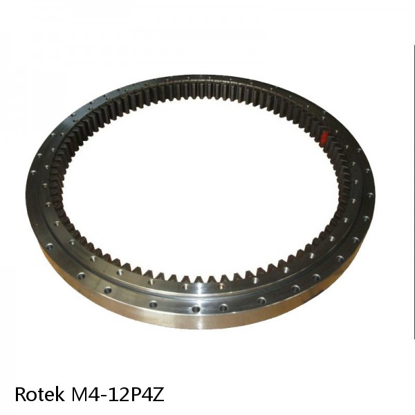 M4-12P4Z Rotek Slewing Ring Bearings #1 small image