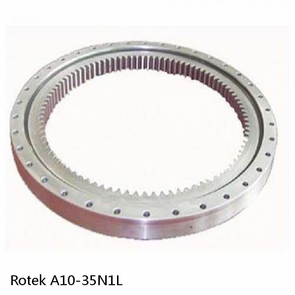 A10-35N1L Rotek Slewing Ring Bearings #1 small image