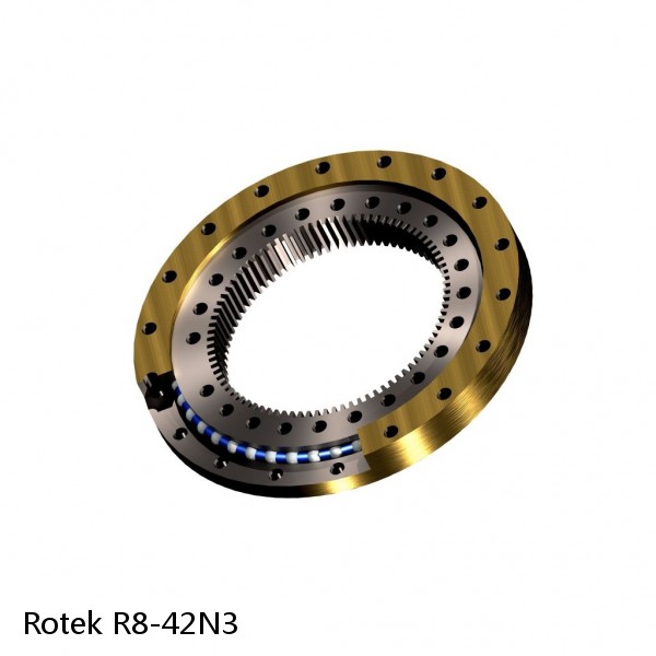 R8-42N3 Rotek Slewing Ring Bearings #1 small image