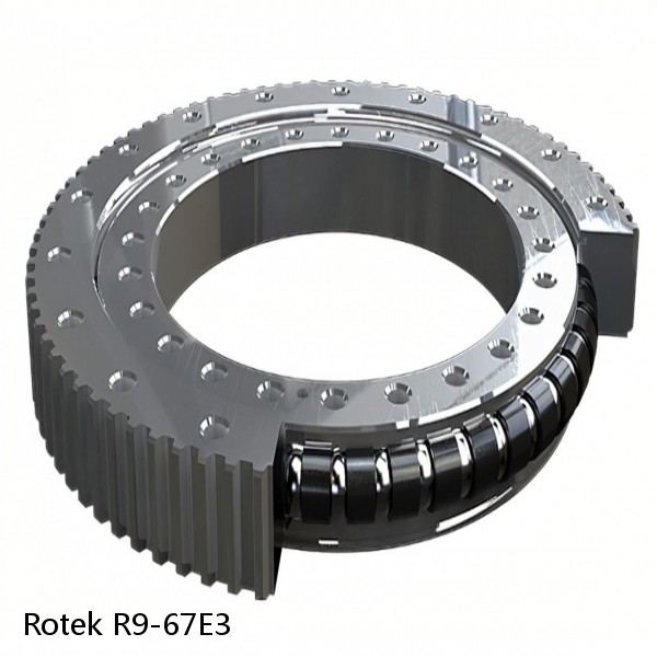 R9-67E3 Rotek Slewing Ring Bearings