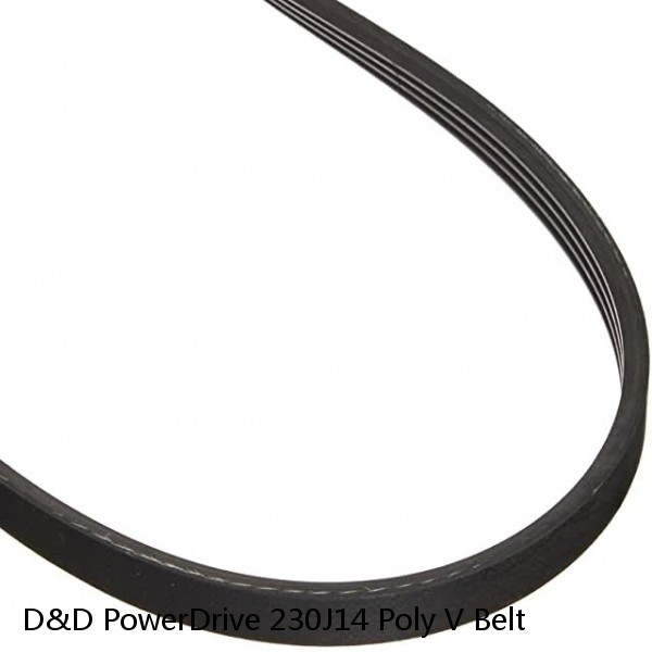 D&D PowerDrive 230J14 Poly V Belt