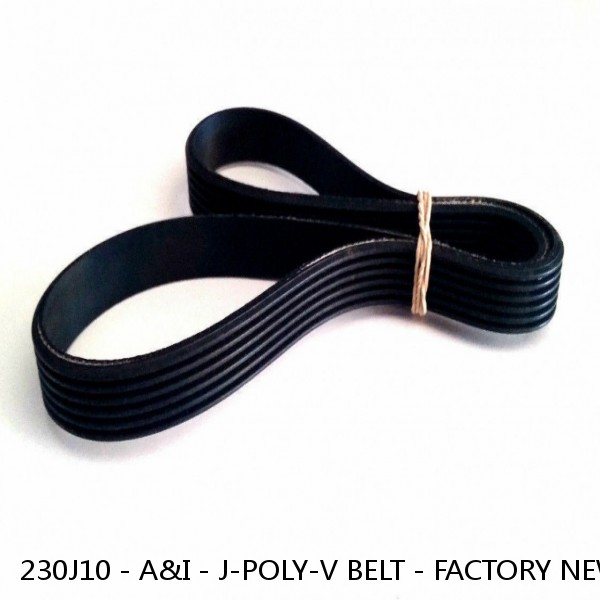 230J10 - A&I - J-POLY-V BELT - FACTORY NEW #1 small image