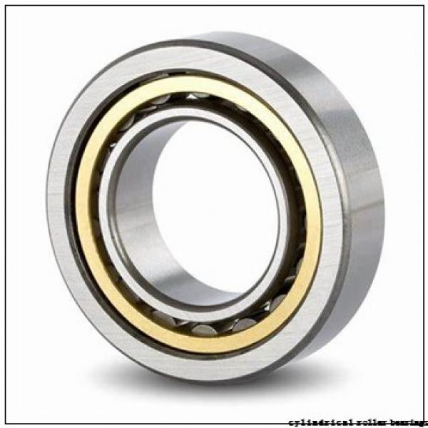 85 mm x 180 mm x 41 mm  NKE NJ317-E-MA6 cylindrical roller bearings #2 image