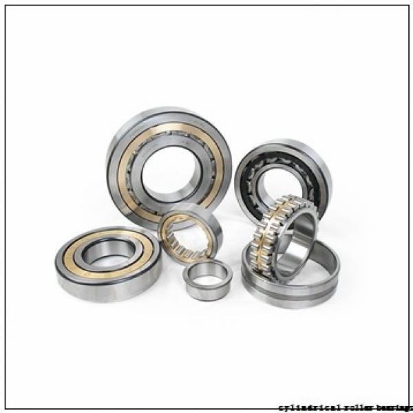 25 mm x 47 mm x 12 mm  NTN NUP1005 cylindrical roller bearings #1 image