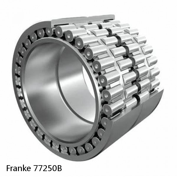 77250B Franke Slewing Ring Bearings #1 image