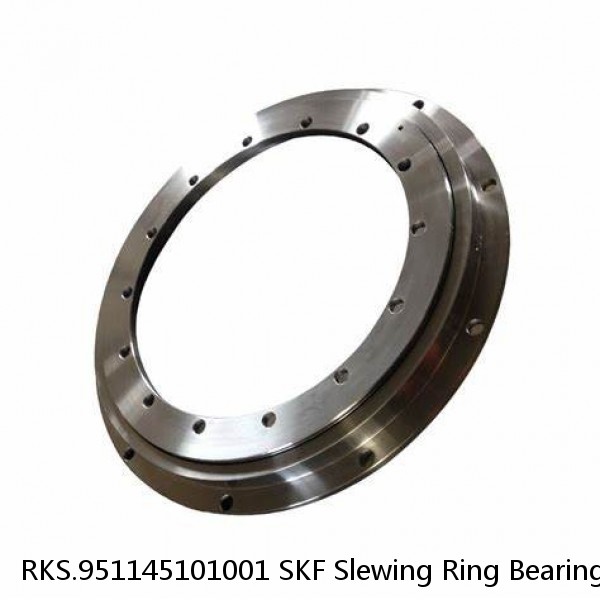 RKS.951145101001 SKF Slewing Ring Bearings #1 image
