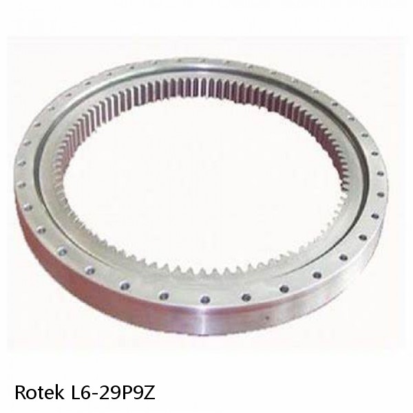 L6-29P9Z Rotek Slewing Ring Bearings #1 image