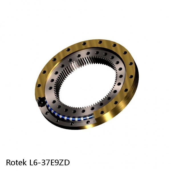 L6-37E9ZD Rotek Slewing Ring Bearings #1 image