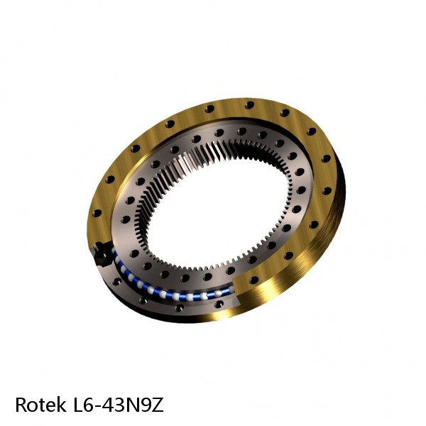 L6-43N9Z Rotek Slewing Ring Bearings #1 image