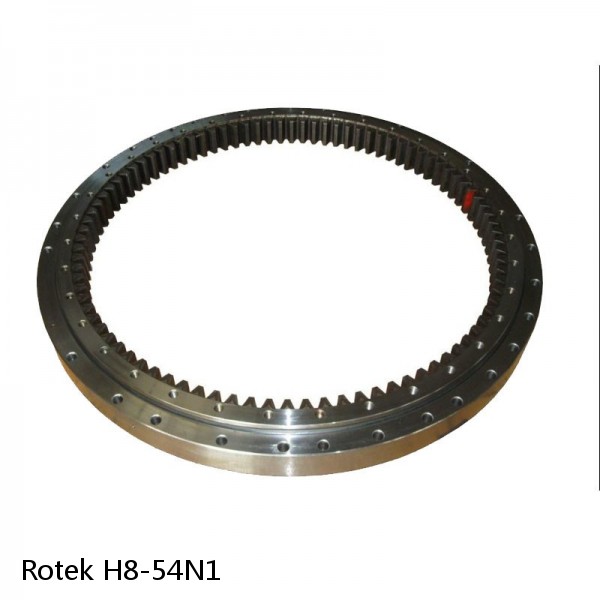 H8-54N1 Rotek Slewing Ring Bearings #1 image