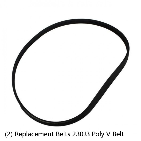 (2) Replacement Belts 230J3 Poly V Belt #1 image