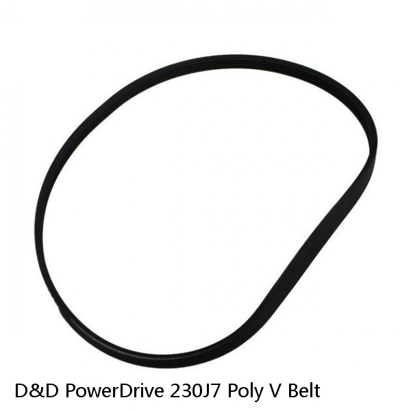 D&D PowerDrive 230J7 Poly V Belt #1 image