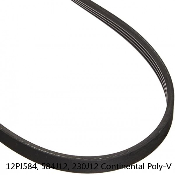 12PJ584, 584J12, 230J12 Continental Poly-V Belt 12 Ribs, 584mm, 23" Long #1 image